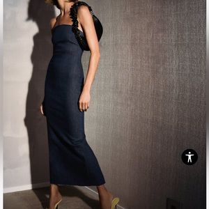 Zara the denim dress